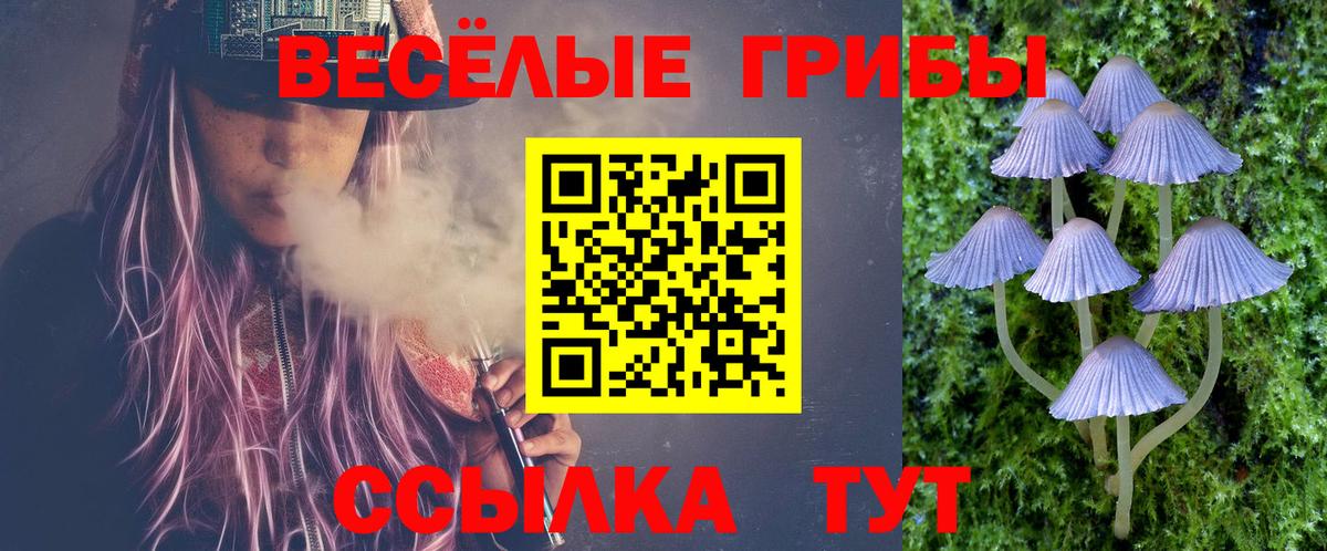 Великие Луки  Псилоцибиновые грибы мухоморы  Вход с VPN 